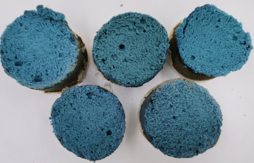 Butterfly pea flower