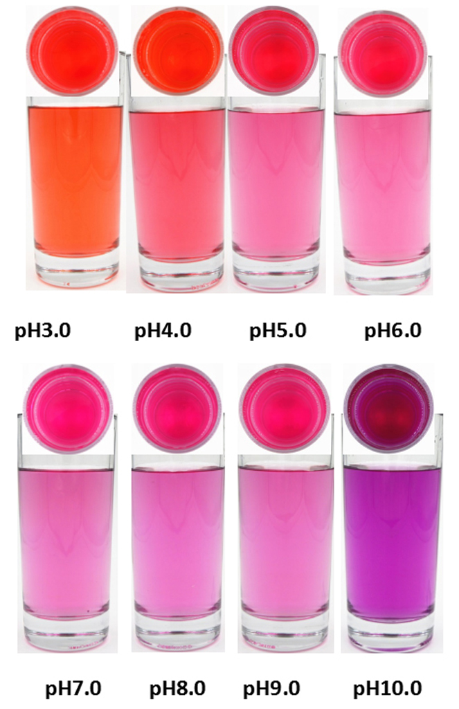 FoodRGB Red Radish natural color solution for pink and purple application liquid showing pH ranges.
