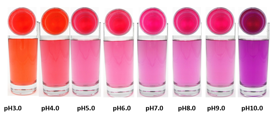 FoodRGB Red Radish natural color solution for pink and purple application liquid showing pH ranges.