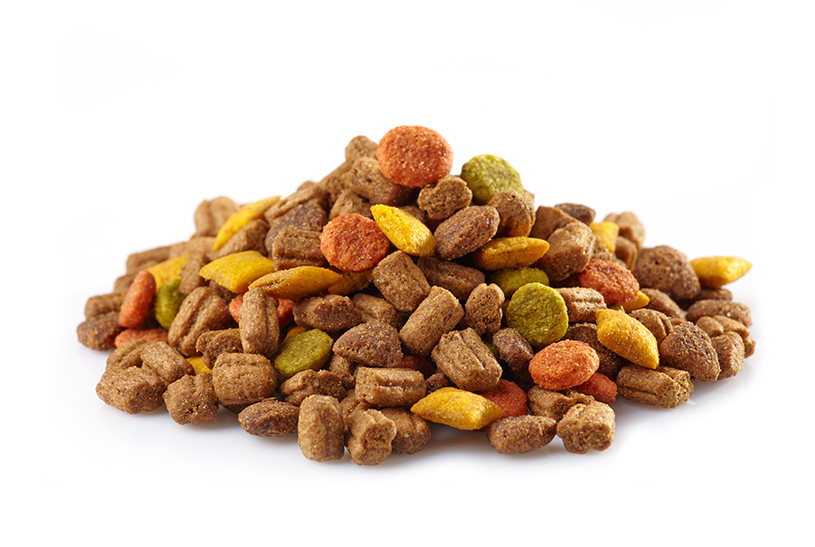 FoodRGB Natural food color application photography for pet food