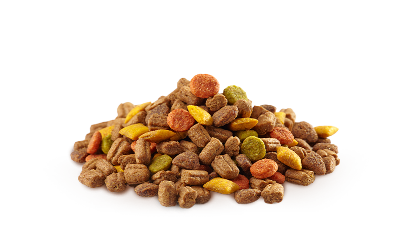 FoodRGB Natural food color application photography for pet food including kibble,using brown and red natural food color