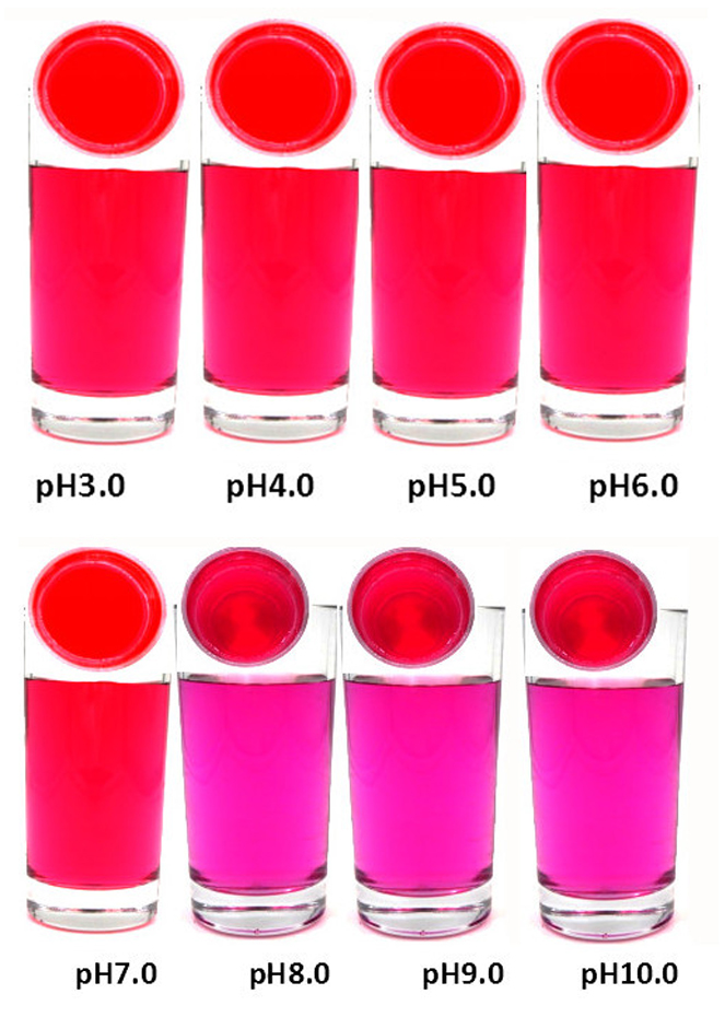 FoodRGB Beetroot red natural color solution for reds and pinks liquid showing pH ranges.