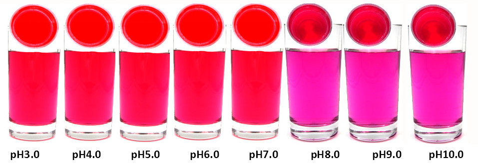 FoodRGB Beetroot red natural color solution for reds and pinks liquid showing pH ranges.