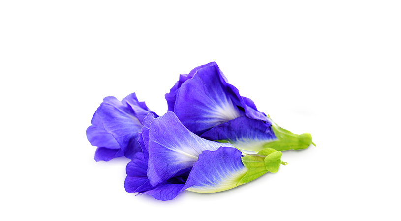 FoodRGB Butterfly pea natural color solution for blue, pink, purple and green application butterfly pea flower