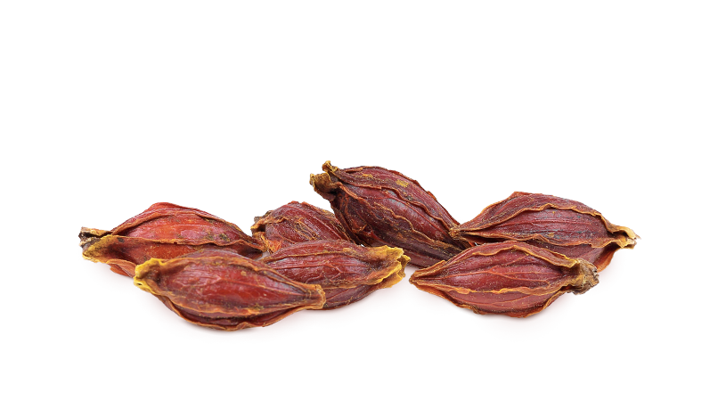 FoodRGB ingredient for blue and green natural food color gardenia