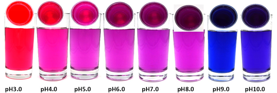 FoodRGB purple sweet potato natural color solution for pink, red, purple liquid showing pH ranges.