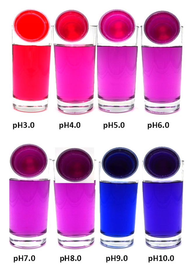 FoodRGB purple sweet potato natural color solution for pink, red, purple liquid showing pH ranges.