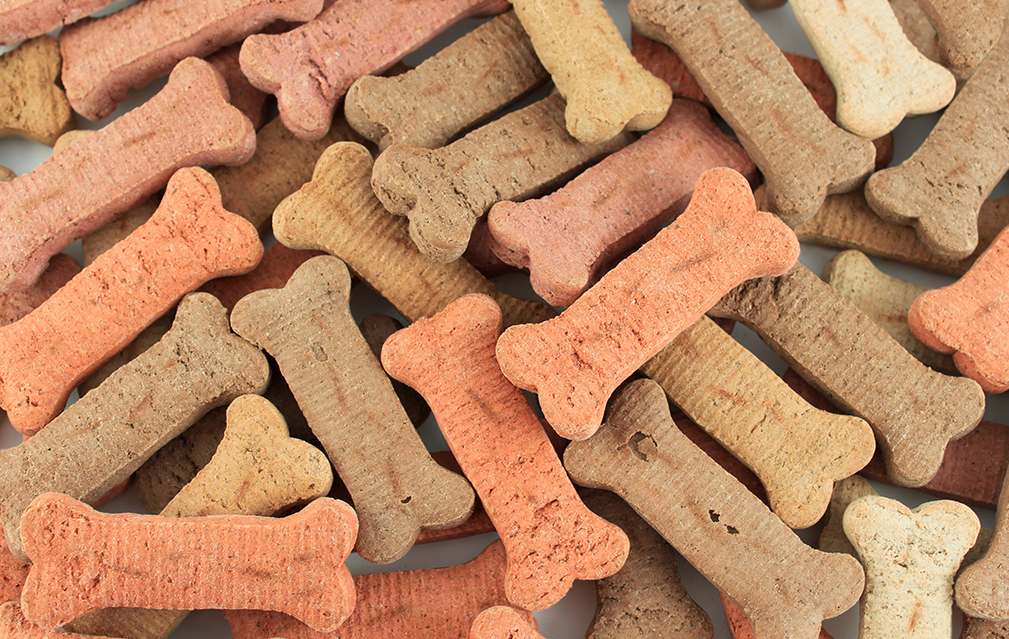 FoodRGB Natural food color application photography for pet food biscuits red and brown