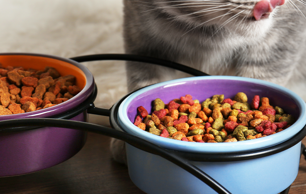 FoodRGB Natural food color application photography for pet food kibble red, green, and brown