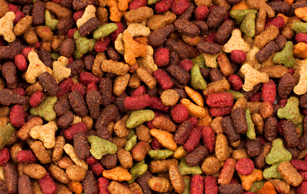 FoodRGB Natural food color application photography for pet food kibble red, green, orange, and brown
