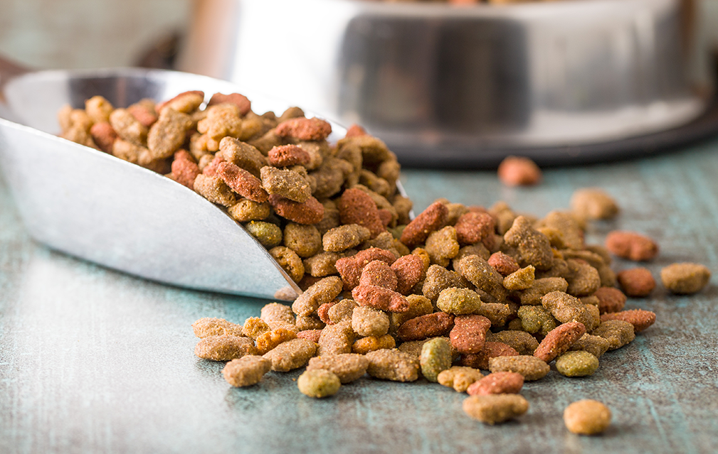 FoodRGB Natural food color application photography for pet food kibble red, green, and brown