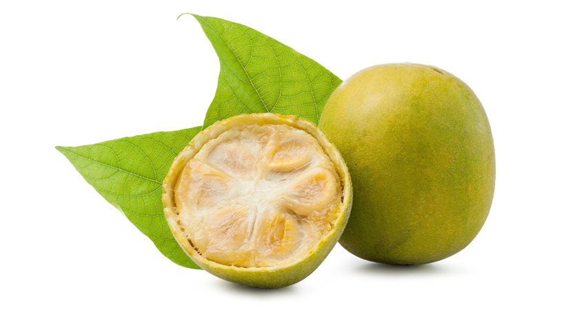 FoodRGB natural zero calorie sweetener Monkfruit in plant form