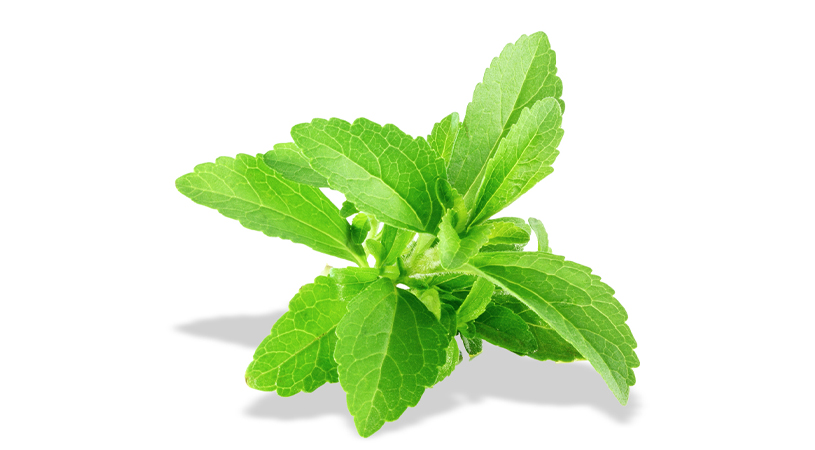 FoodRGB natural zero calorie sweetener Stevia in plant form