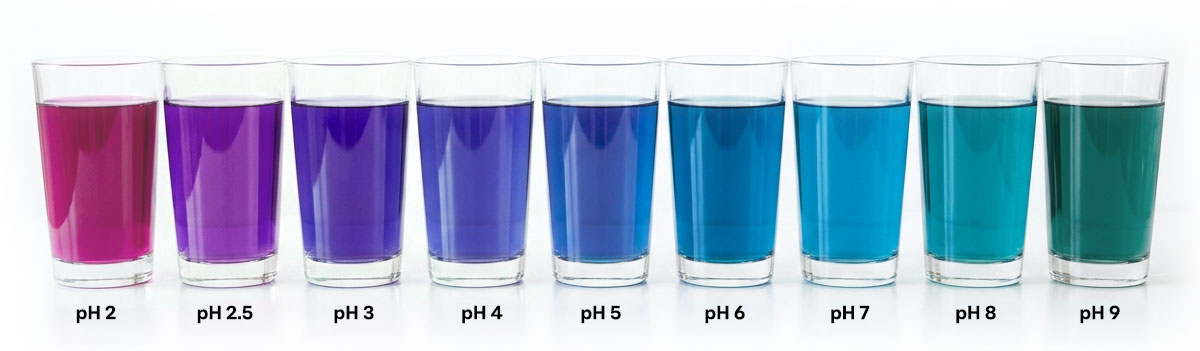 FoodRGB Butterfly pea natural color solution for blue, pink, purple and green application liquid showing pH ranges